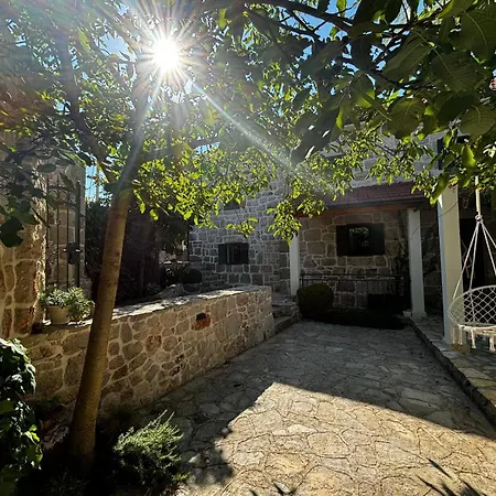 Villa Bilini Dvori - House With Swimming Pool Runovic