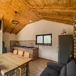 Bilini Dvori - House With Swimming Pool *